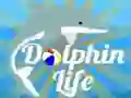 Lojë Jeta e delfinëve në internet