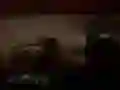 Lojë Safari i Frikëshëm në Xhungël në internet Lojë Safari i Frikëshëm në Xhungël në internet