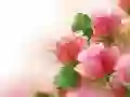 Lojë Trëndafila të Pink në internet Lojë Trëndafila të Pink në internet
