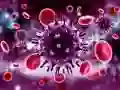 Lojë Pazulli Coronavirus në internet Lojë Pazulli Coronavirus në internet
