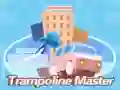 Lojë Master Trampolini në internet