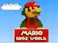 Lojë Bota Mario Bros në internet Lojë Bota Mario Bros në internet