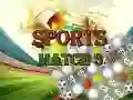 Lojë Ndeshja e Sporteve 3 Deluxe në internet Lojë Ndeshja e Sporteve 3 Deluxe në internet