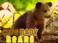 Lojë Një Të Njohur Ariu në internet Lojë Një Të Njohur Ariu në internet