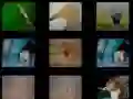 Lojë Kujtesa e Kafshëve në internet Lojë Kujtesa e Kafshëve në internet