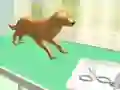 Lojë Kujdesi për Këmbët në internet Lojë Kujdesi për Këmbët në internet