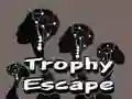 Lojë Korrigjim Trophy në internet Lojë Korrigjim Trophy në internet
