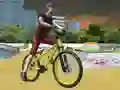 Lojë BMX Ekstreme 3D Zhurit në internet