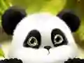 Lojë Panda Shkëlqim në internet