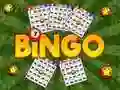 Lojë Bingo Zbuluar në internet Lojë Bingo Zbuluar në internet