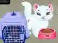 Lojë Kujdesi për Kafshët e Shtëpisë Baby Taylor në internet