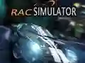 Lojë Simulator Rac në internet Lojë Simulator Rac në internet