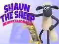 Lojë Shaun Derri: Loja e Kujtesës në internet