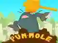 Lojë Pum-Mole në internet Lojë Pum-Mole në internet