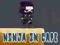 Lojë Ninja në Kapuç në internet