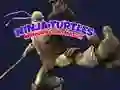 Lojë Ninja Turtles Ndeshja e Kartave të Kujtesës në internet