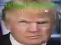 Lojë Trump Fytyrë Qesharake në internet Lojë Trump Fytyrë Qesharake në internet