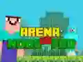 Lojë Arena: Noob kundër Pro në internet Lojë Arena: Noob kundër Pro në internet