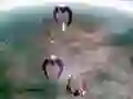 Lojë Scape Shotter në internet Lojë Scape Shotter në internet