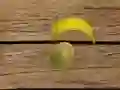 Lojë Gjuajtje Frutash në internet