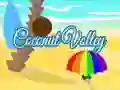 Lojë Volejboll Coco në internet