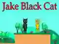 Lojë Jake Macja e zezë në internet Lojë Jake Macja e zezë në internet