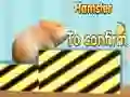 Lojë Hamster Për Të Konfirmuar në internet