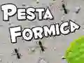 Lojë Festimi i Mielit në internet Lojë Festimi i Mielit në internet