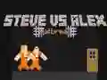 Lojë Steve kundër Alex: Arratisja nga Burgu në internet Lojë Steve kundër Alex: Arratisja nga Burgu në internet