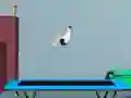 Lojë Flip mbi Trampolin në internet Lojë Flip mbi Trampolin në internet