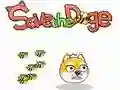 Lojë Shpëto Doge në internet Lojë Shpëto Doge në internet