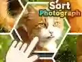 Lojë Rendit fotografitë në internet Lojë Rendit fotografitë në internet
