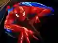Lojë Puzzle Spider-Man në internet