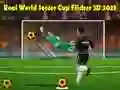 Lojë Kupa e Botës së Futbollit të Vërtetë Flicker 3D 2023 në internet