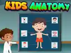 Lojë Anatomia për Fëmijë në internet