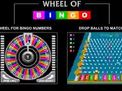 Lojë Rrotë Bingo në internet