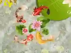 Lojë Lumi me peshq koi në internet Lojë Lumi me peshq koi në internet