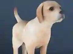 Lojë Kafshë shtëpiake inaktive në internet Lojë Kafshë shtëpiake inaktive në internet