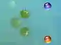 Lojë Aventurat e mia në internet