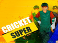 Lojë Kricket Super në internet