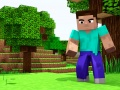 Lojë Mini Craft në internet