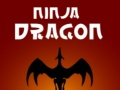 Lojë Dragua Ninja në internet