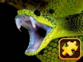 Lojë Sfidë e Puzzles Shtazhi në internet