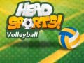 Lojë Volejboll nga Head Sports në internet