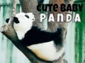 Lojë Panda i vogël i bukur në internet