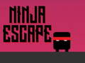 Lojë Shpëtimi Ninja në internet
