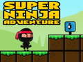 Lojë Super Aventurë Ninja në internet