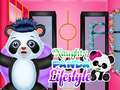 Lojë Stili i Jetës Panda Nâshum në internet