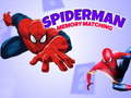 Lojë Lojë kujtesë Spiderman në internet