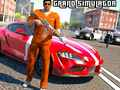 Lojë Heroi Bandit Grand Simulator në internet
